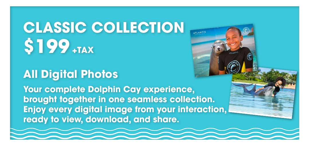 Classic Collection Package